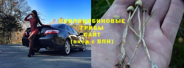 МДПВ Абинск